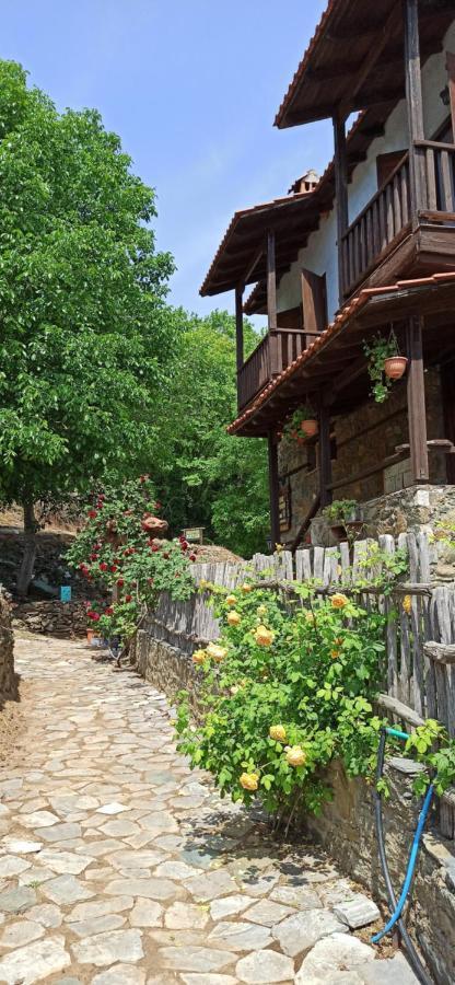 Sintrivanis Mountain Ano Skotina Exterior foto