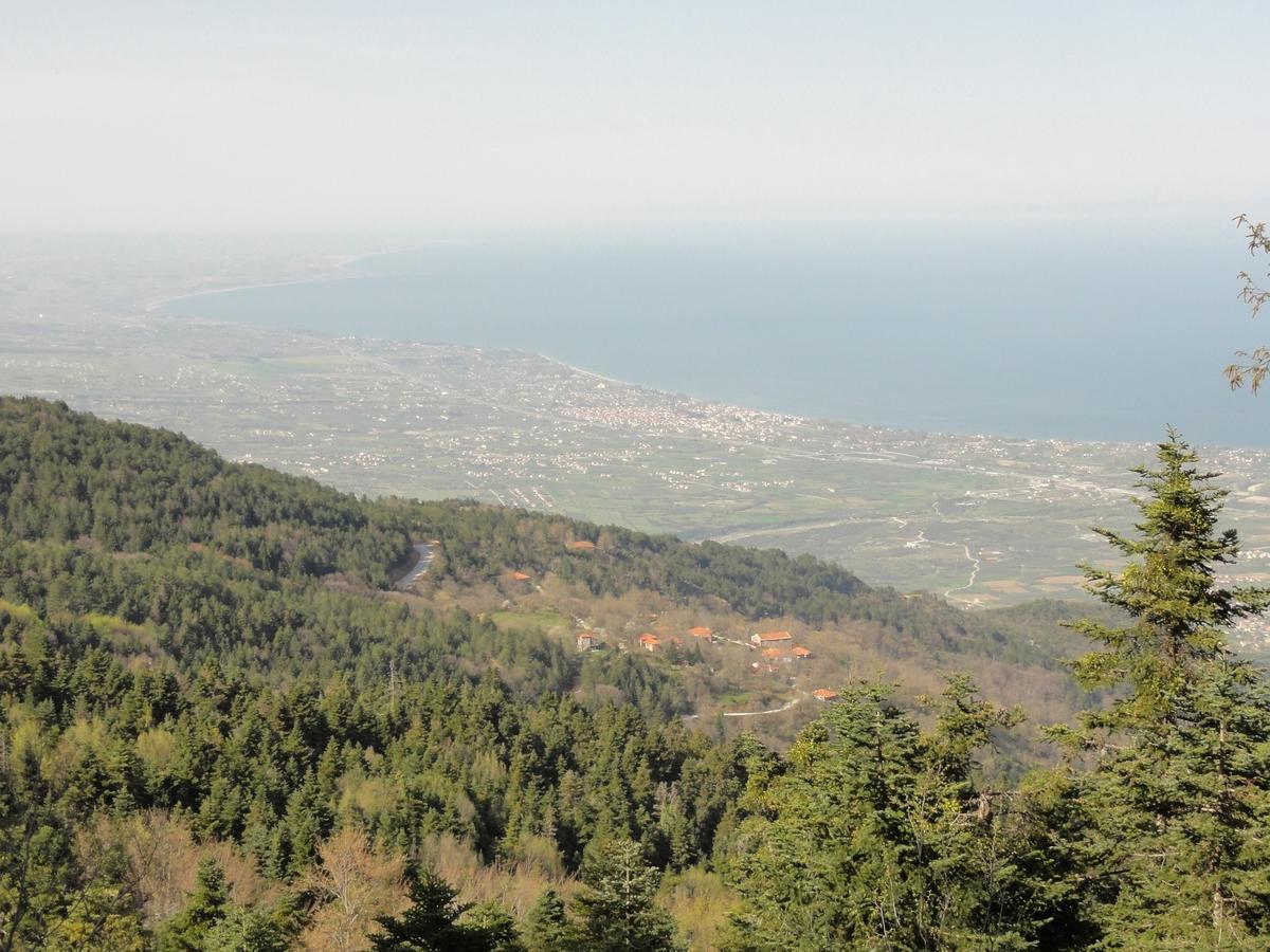 Sintrivanis Mountain Ano Skotina Exterior foto
