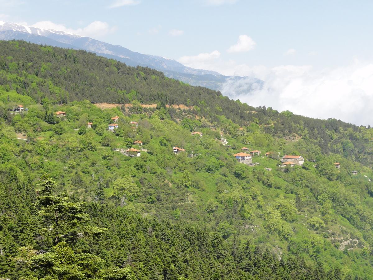 Sintrivanis Mountain Ano Skotina Exterior foto